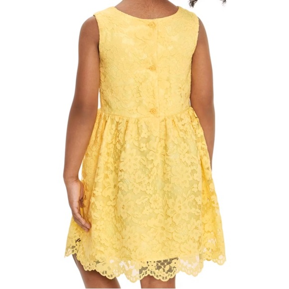 Childrens Place Toddler Girls Sun Valley Lace Fit and Flare Easter Church Dress - Picture 10 of 13